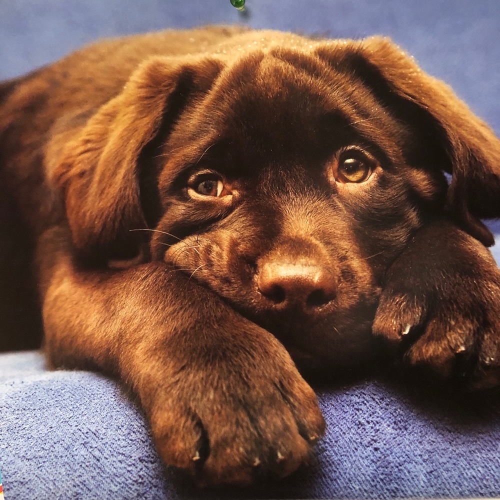 Meet your Posher, Briana